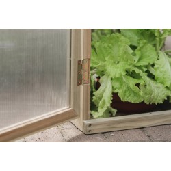 Wooden Growhouse - Natural Finish Wooden Growhouse - Natural Finish